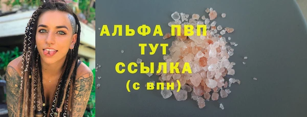 сатива Алзамай