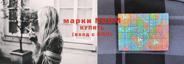сатива Алзамай