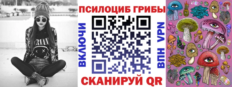 где купить наркоту  Саров  Галлюциногенные грибы прущие грибы 