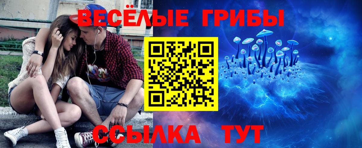 Галлюциногенные грибы Psilocybe  Вход с VPN  Саров  Псилоцибиновые грибы Cubensis 