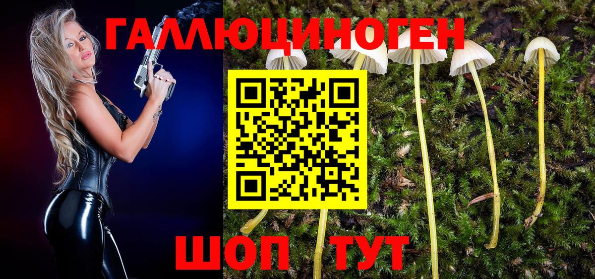 Псилоцибиновые грибы прущие грибы Саров