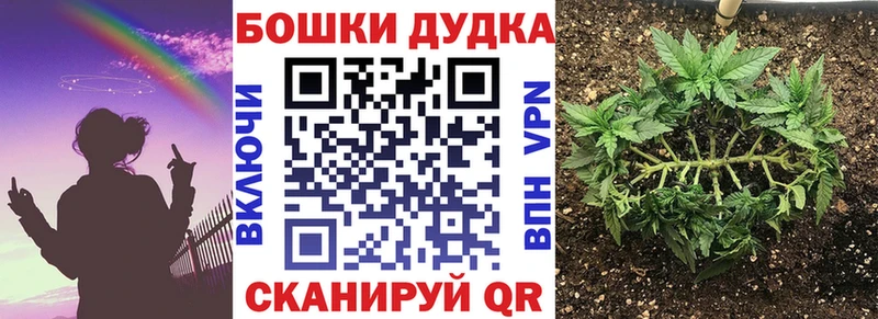Марихуана сатива блэк спрут tor Саров наркотики